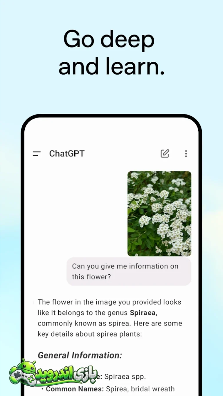 چت جی پی تی — ChatGPT screenshot 4