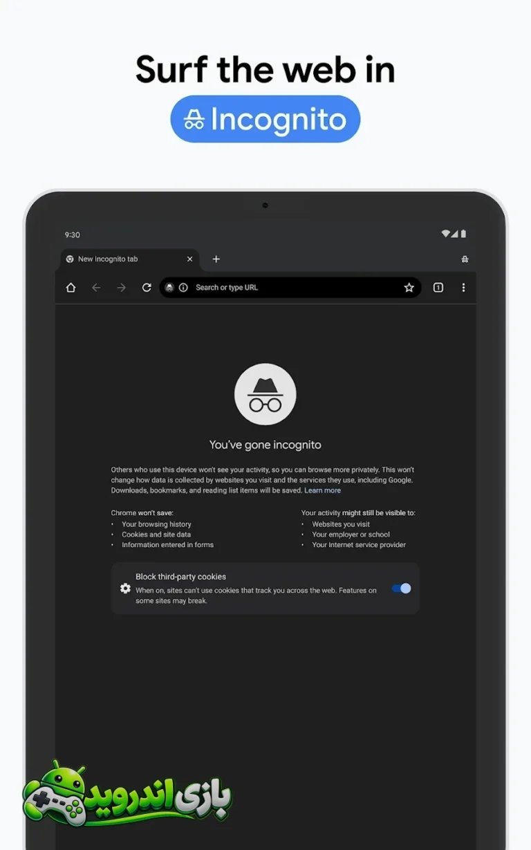 گوگل کروم - Google Chrome screenshot 14